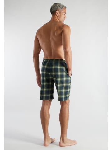 CECEBA Bermuda Nevada in grün-dunkel-Karo
