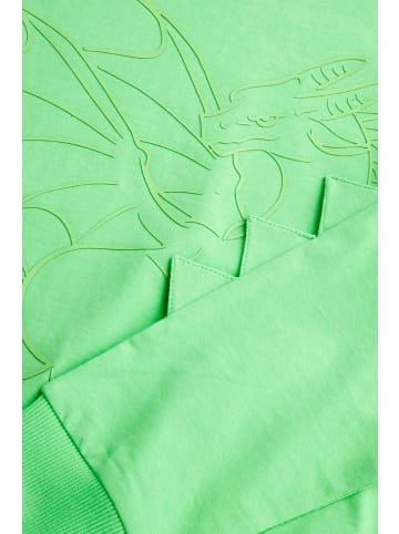 Coccodrillo Langarm-T-Shirt in grün