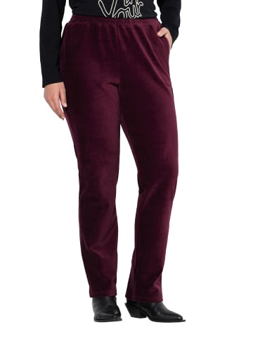 Ulla Popken Schlupfhose in pflaume