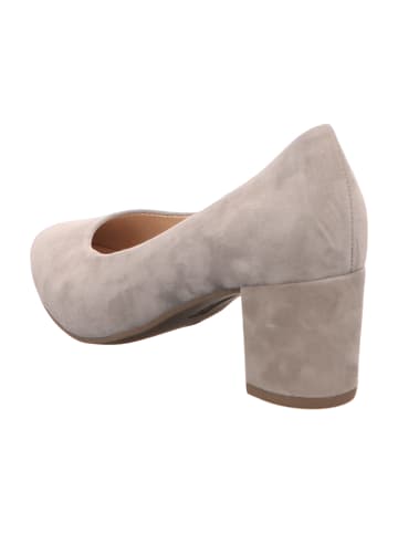 Gabor Pumps  in Beige