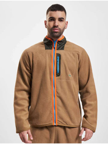 Lacoste Lacoste in leafy/baobab