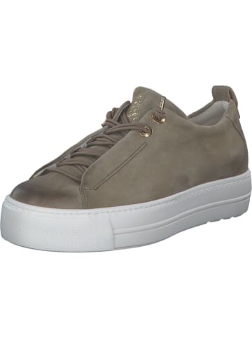 Paul Green Schnürschuhe in twice hunter
