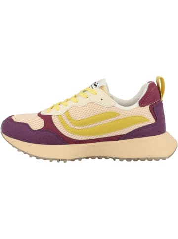 GENESIS Sneaker low G-Marathon Multi Mesh in multicolor