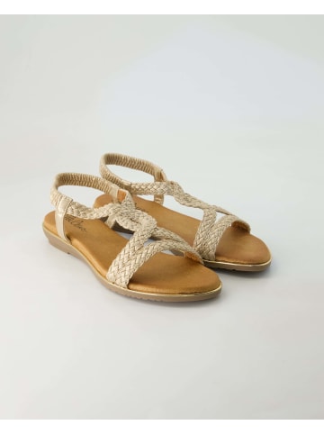 Ella Cruz Sandalen in Gold