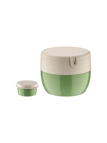 koziol Bentobox in nature leaf green