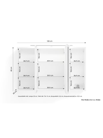 byLiving Spiegelschrank SPREE in anthrazit - B 100, H 60, T 20 cm