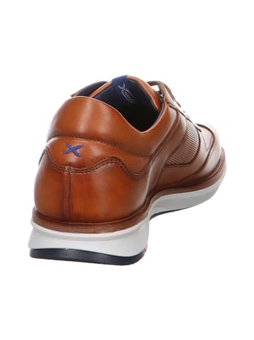 LLOYD Freizeit Schnürer für Herren in braun