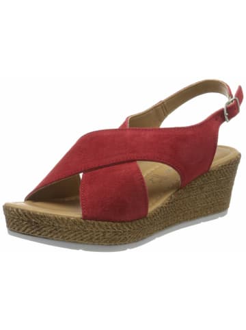 Marco Tozzi für in rot