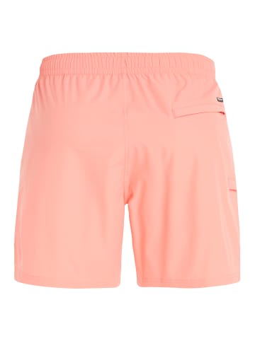 Protest " PRTYESSINE in ShellPeach