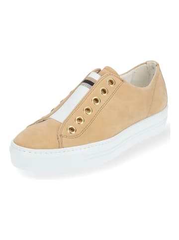 Paul Green Sneaker in Honey