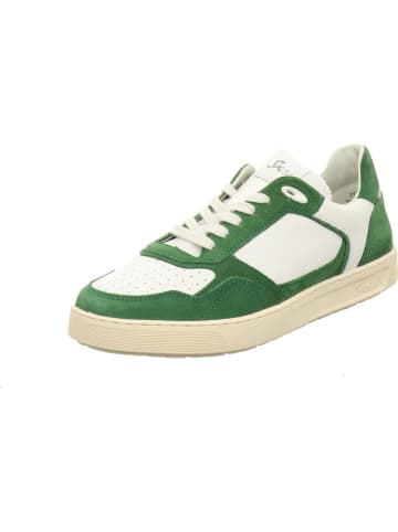 Sioux Schnürschuh in bunt