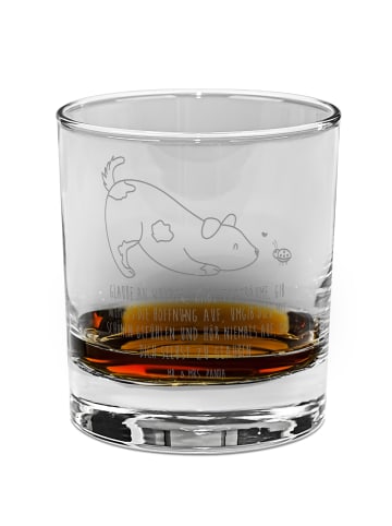 Mr. & Mrs. Panda Trinkglas Hund Marienkäfer mit Spruch in Transparent