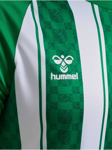 Hummel T-Shirt "Match Striped Jersey S/S" in Grün