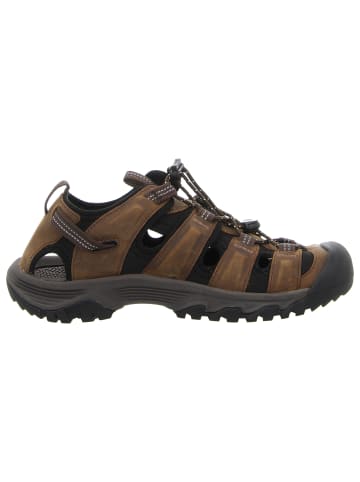 Keen Sandale in braun