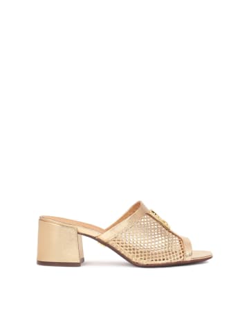 Kazar Slipper SAGE in Gold