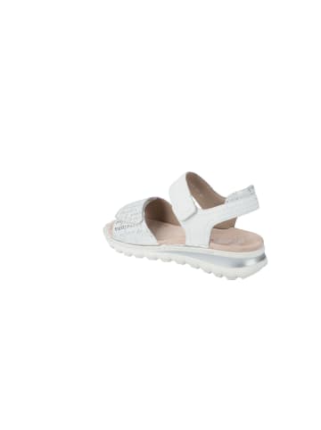 Ara Shoes Sandalen Tampa in nebbia/weiss