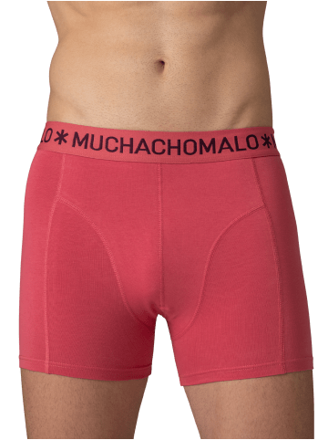 Muchachomalo 4er-Set: Boxershort in Mehrfarbig - für Herren