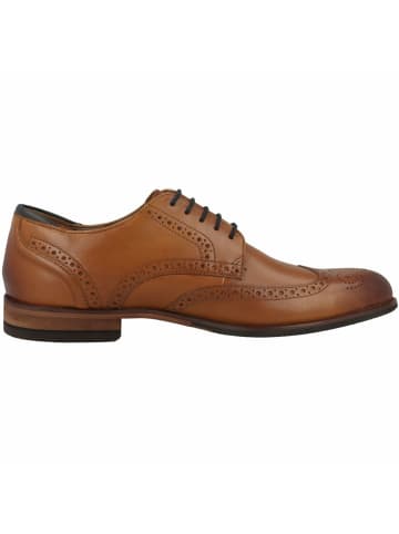 Clarks für Erwachsene in uni