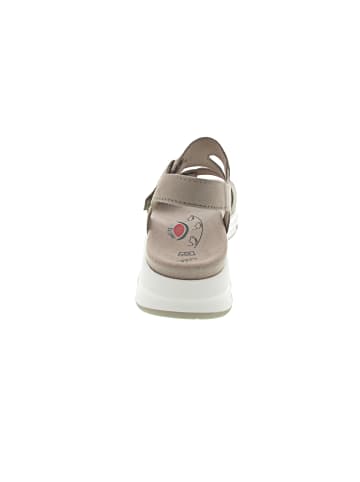 Gabor Comfort Sandale Beige