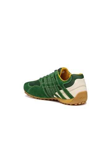 Geox Sneaker in grün