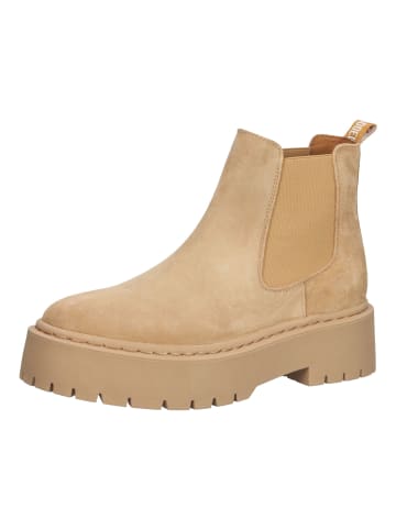 Steve Madden Stiefelette in Camel