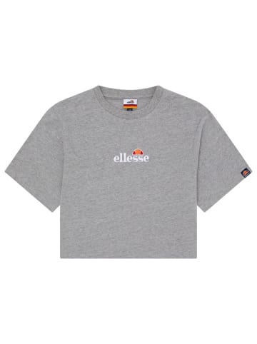 ellesse T-Shirt in Grau