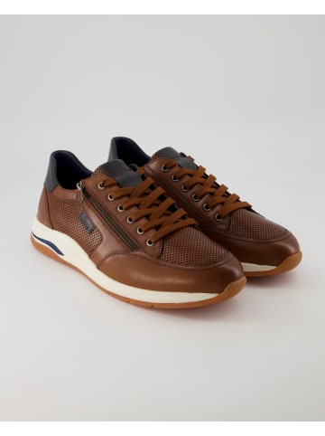 Sioux Sneaker low in Braun