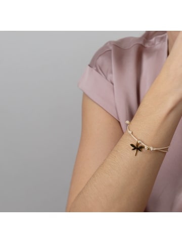 Ailoria LIBELLULE Armband beige/silber in roségold