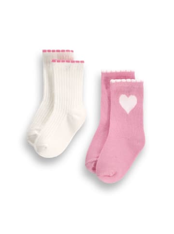 Coccodrillo Socken in bunt