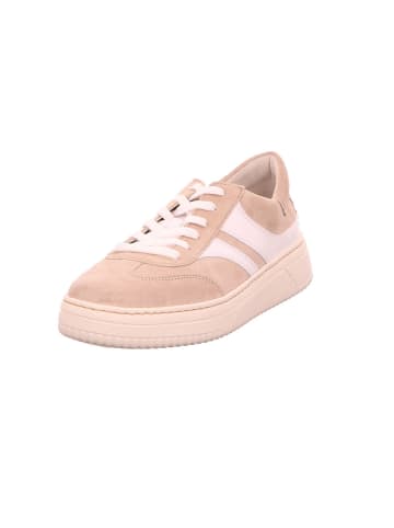 Gabor Sneaker in oasi/weiss