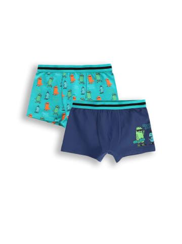 Coccodrillo Unterhose in bunt
