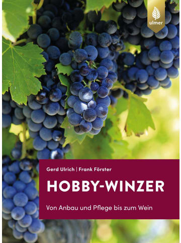 Ulmer Hobby-Winzer | Von Anbau und Pflege bis zum Wein