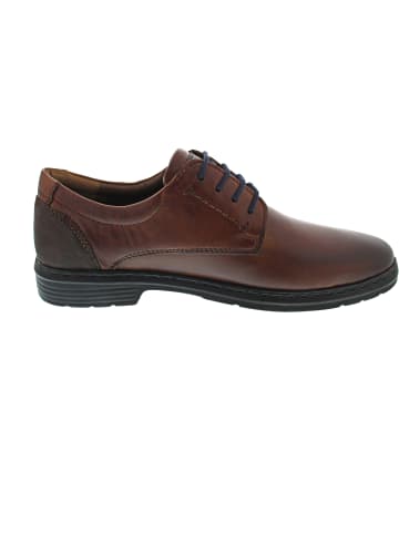Josef Seibel Alastair 01 Business Schuh Braun