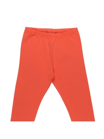 Walkiddy Leggings Langoustine - Leggings