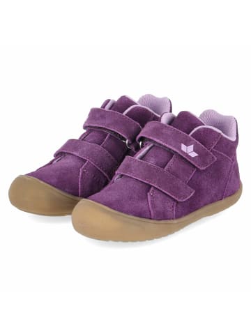 Lico Klettschuhe in lila