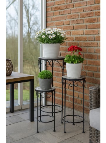 möbel-direkt Blumenständer Set, 3tlg. Lara in schwarz