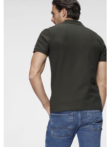 Kangaroos Poloshirt in khaki