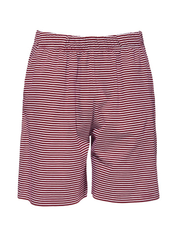 Erwin Müller Single-Jersey Shorty in rubin