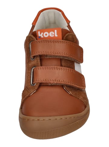 KOEL Sneaker Low DENIS NAPA NEW 3.0 in braun
