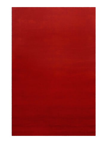 Teppich "Campino" in Terracotta