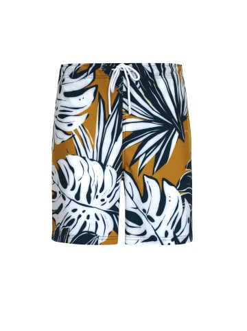 wavebreaker Shorts in braun