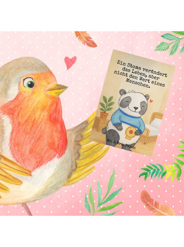 Mr. & Mrs. Panda Beileidskarte Panda künstlicher Darmausgang Des... in Weiß