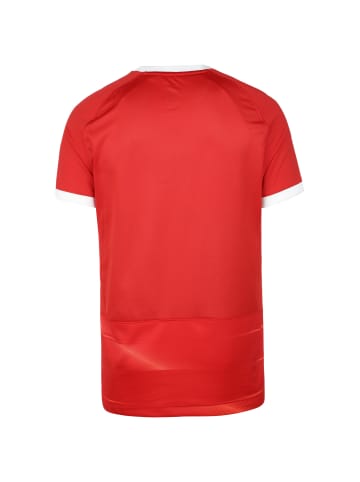 Nike Performance Fußballtrikot Dri-Fit Academy in rot / weiß