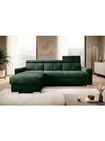 MF Design Falcon Recamiere Links in Grün -  (L) 248 x (B) 248 x (H) 95 cm