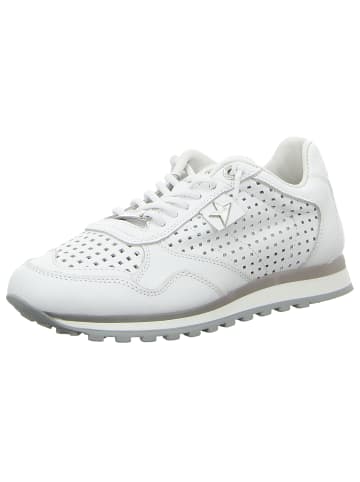 Cetti Sneaker Low in weiss