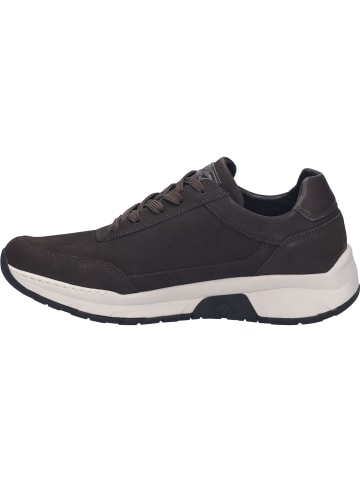 Josef Seibel Sneaker Mitchell 03 in braun