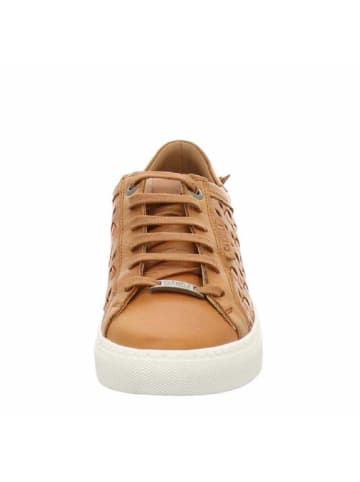 CARMELA Sneaker in braun