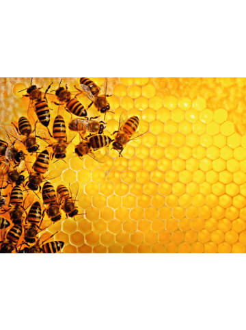 Ravensburger Puzzle 1.000 Teile Bienen Ab 14 Jahre in bunt