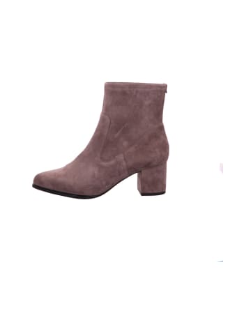 PETER KAISER Stiefelette in grau
