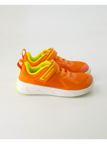 Geox Klettschuhe in Orange